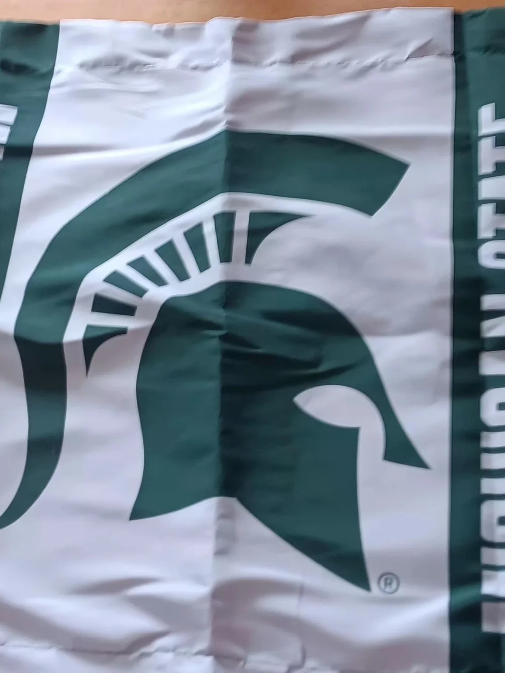Michigan State Spartans Twin Bedding Set - Comforter & Sham